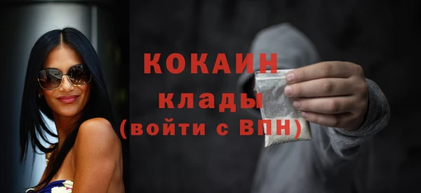 прущие грибы Заволжье