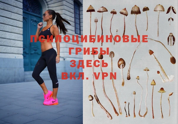 jwh Зерноград