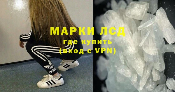 прущие грибы Заволжье