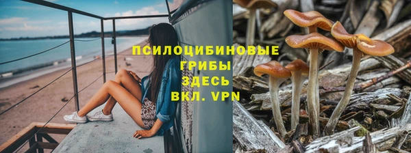 мяу мяу кристалл Заводоуковск