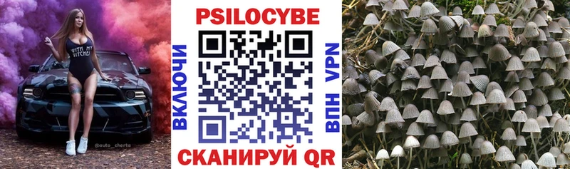 Псилоцибиновые грибы GOLDEN TEACHER ссылка на мегу как войти Ртищево