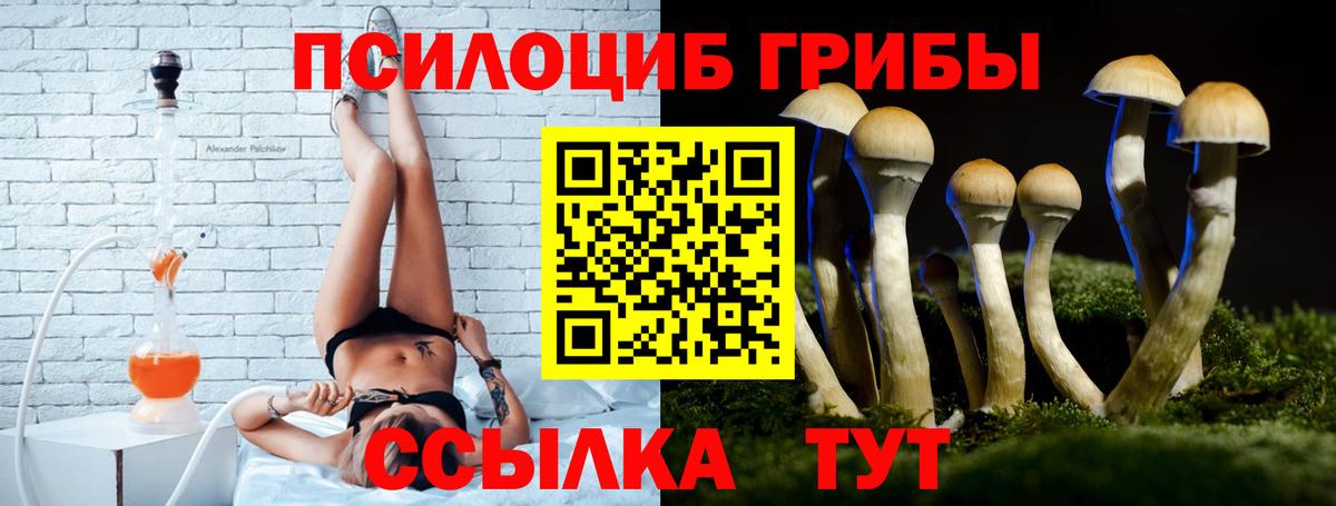 где купить наркоту  Вход с VPN  Ртищево  Галлюциногенные грибы мицелий 